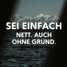 einfachnurnett