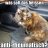 Domcat