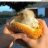 yardbird