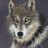 timberwolf